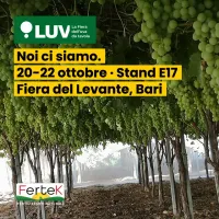LUV 2026: noi ci siamo!