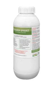 Cynara Sprint - Fertek